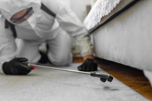 Professional Ant Control technician working in Auberry, CA