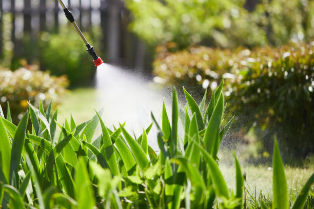 24/7 Emergency Ant Control experts in Auberry, CA